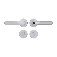 Home Fast SILVER